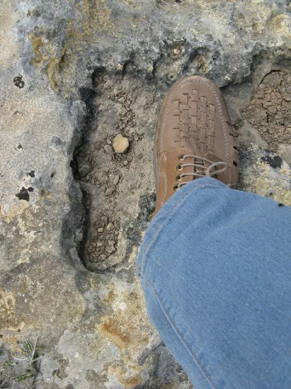 неопознанный объект в небе. снимки марса наса 2020. мистические существа в реальной жизни. нашли скрытый мир. нашли скрытый мир.