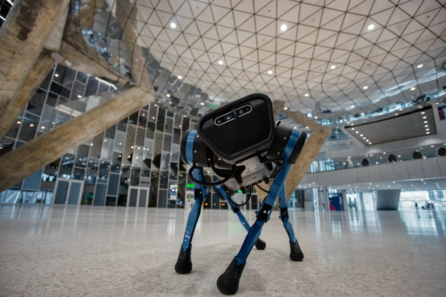 Unitree h1. Uni3 собака робот. unitree robotics a1. робособака unitree. собака unitree 1.