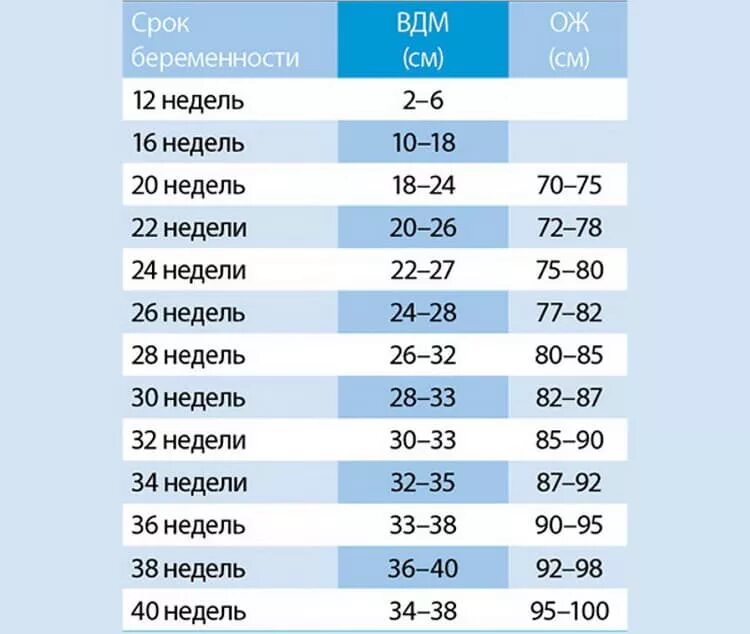 31 неделя размер. Окружность живота и высота дна матки по неделям. Высота дна матки по неделям беременности и окружность живота таблица. Высота дна матки при беременности норма по неделям. Норма объема живота при беременности по неделям.