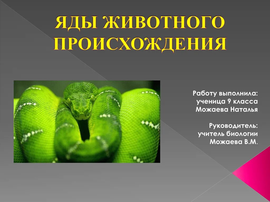 Пищевые отравления ядовитыми животными. Отравления яд животных. Классификация токсических отравлений. Проявления отравления мухоморами. Отравление ядовитыми растениями и грибами.