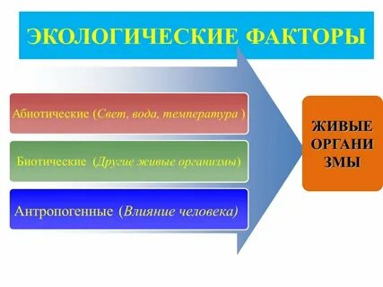 Факторы воздействия на живые организмы