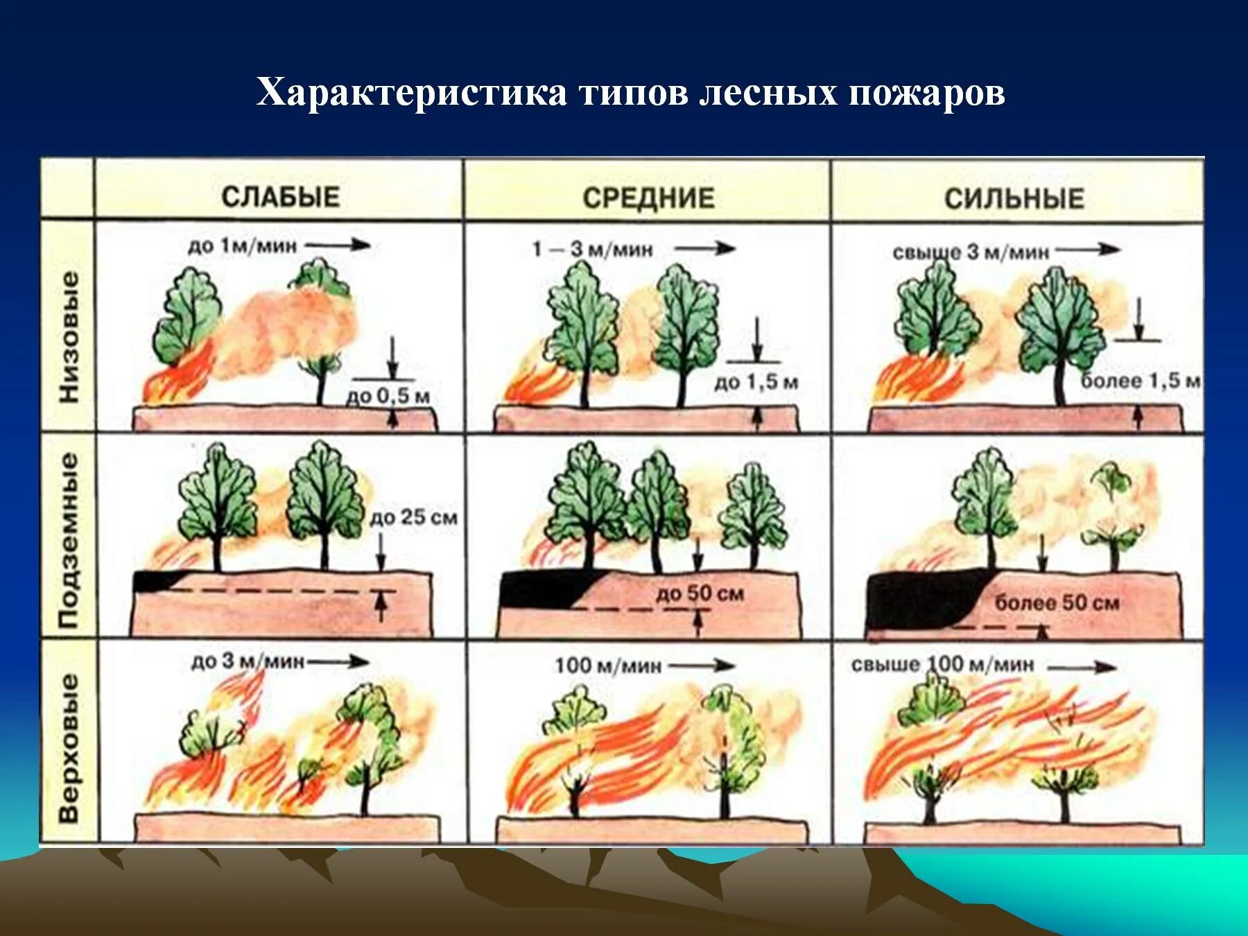 Каковы основные причины лесных пожаров. Причины лесных пожаров. Основные причины лесных пожаров. Антропогенные причины лесных пожаров. Основная причина лесных пожаров.