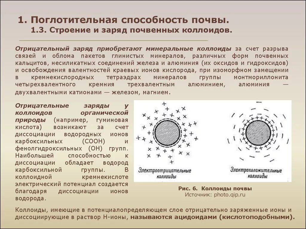 Заряд коллоидных частиц. Заряд почвенных коллоидов. Строение и заряд почвенных коллоидов. Поглотительная способность почвы. Состав и строение почвенных коллоидов.