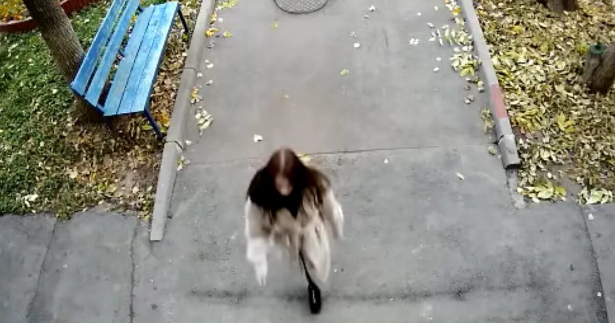 Справляет нужду видео. Девушки справляют нужду в подъезде. девочка справляет нужду на улице. справляют нужду в кустах.
