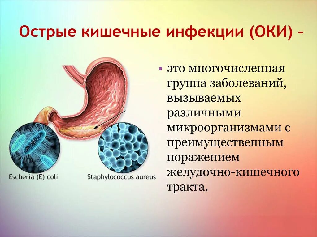 Определение кишечной инфекции. Острые желудочно-кишечные заболевания. острые кишечные инфекции. оки острая кишечная инфекция.