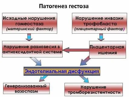 Патогенез преэклампсии