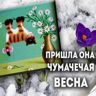 1 день весны смешные