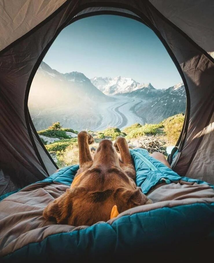 Удивительного утра картинки. Красивый вид из палатки. Вид из палатки на горы. Вид из палатки на море. Доброе утро горы.