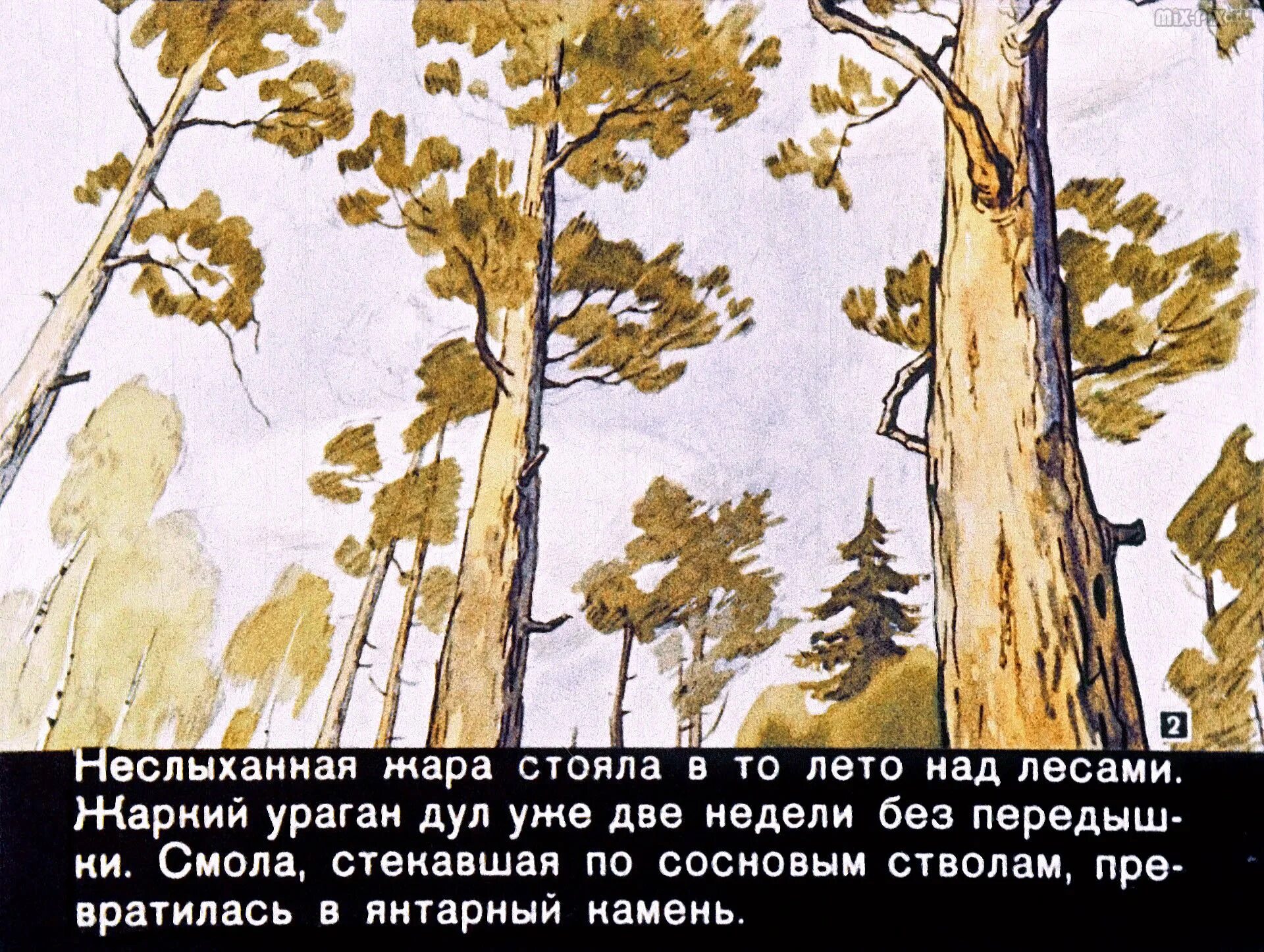 Как заяц спас деда заячьи лапы. Паустовский заячьи лапы диафильм. к. паустовский &quot;заячьи лапы&quot;. заячьи лапы паустовский иллюстрации к рассказу. заячьи лапы паустовский ветеринар.
