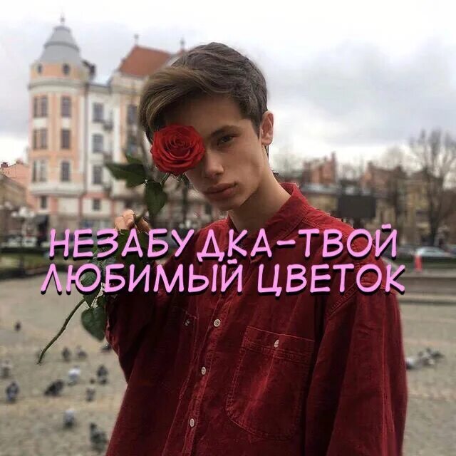 Незабудка тима слушать. Незабудка твой любимый цветок Тима белорусских. Незабудка твой любимый цветок певец. Незабудка Тима белорусских. Незабудка твой любимый кто поет.