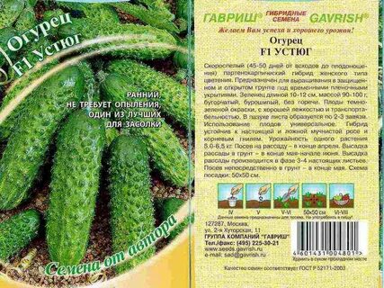 Огурцы сорта для посадки