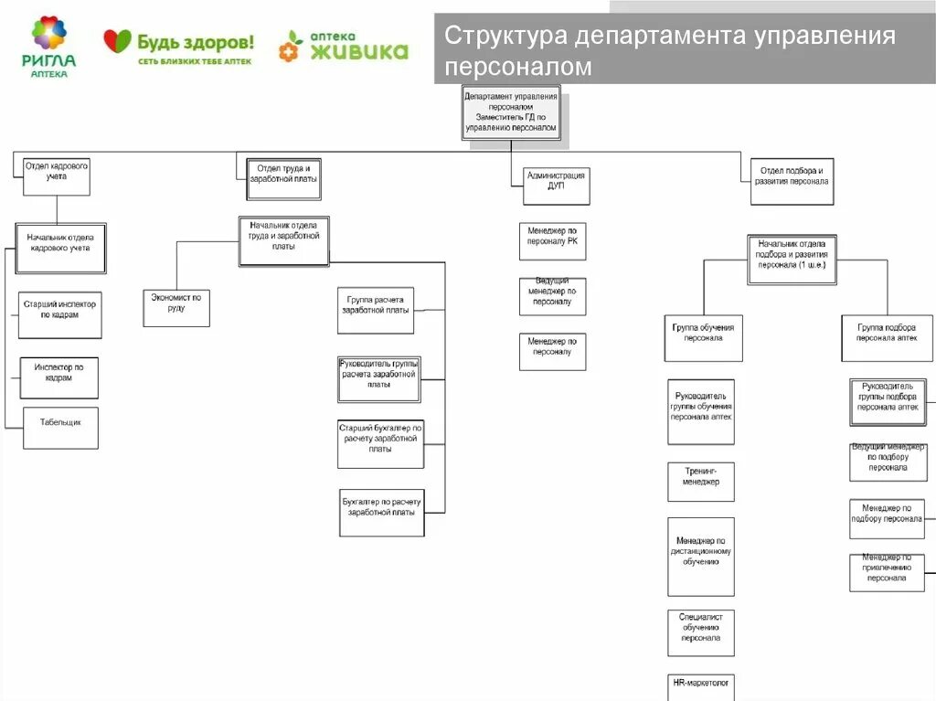 Департамент управления счетами. Структура департамента. Структура департамента управления персоналом. Департамент управление отдел. Структура Министерства труда.