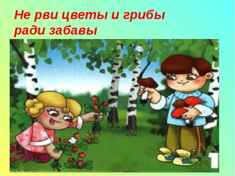 Не рви цветы и грибы. Не рвать цветы. Не рви грибы. Не рвать грибы возле дороги. Видео не рви цветы