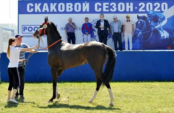 Завод 170