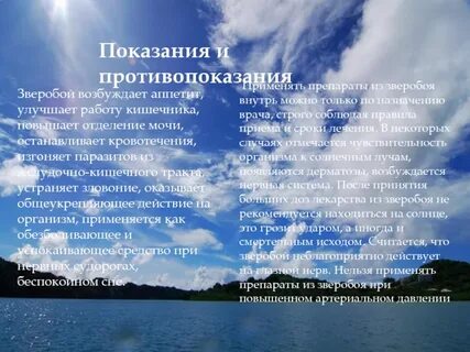 Зверобой повышает давление