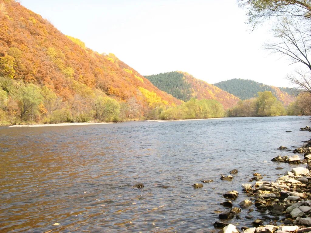 Дерибас деревня приморский край. База отдыха плесы песчаного приморский край. Форест кемпинг приморский край. Поселок дальнегорск приморский край. Бухта спокойная приморский край.