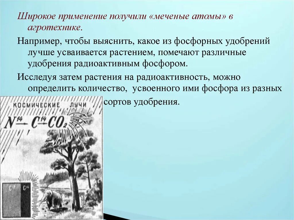 В каких экспериментах использовали меченые атомы. Метод метод меченых атомов. В каких экспериментах использовали меченые атомы. Метод меченых атомов. Метод меченых атомов в биологии.