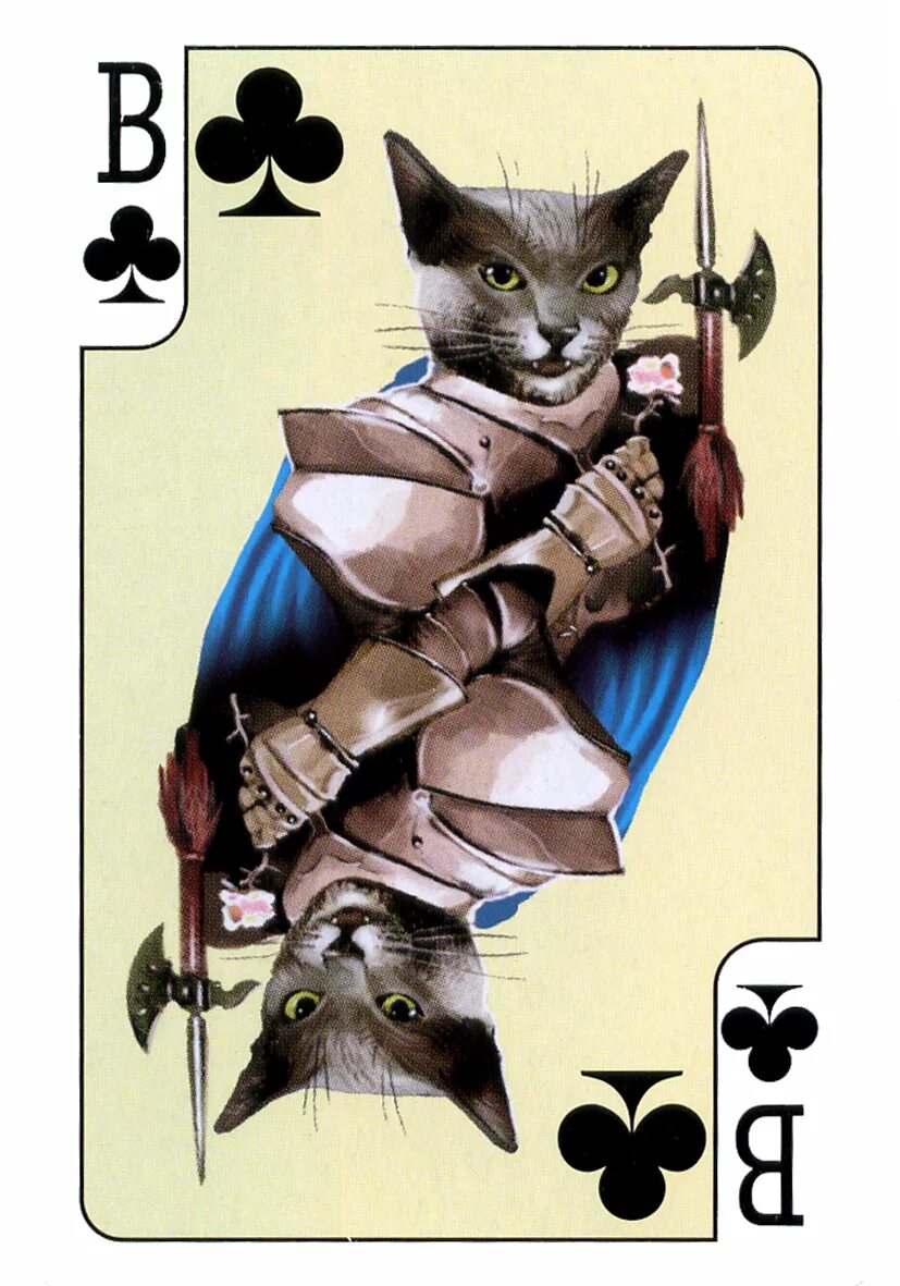 игральные карты с котиками. карта коте. пиковая карта. забавные игральные карты. карты с кошками.