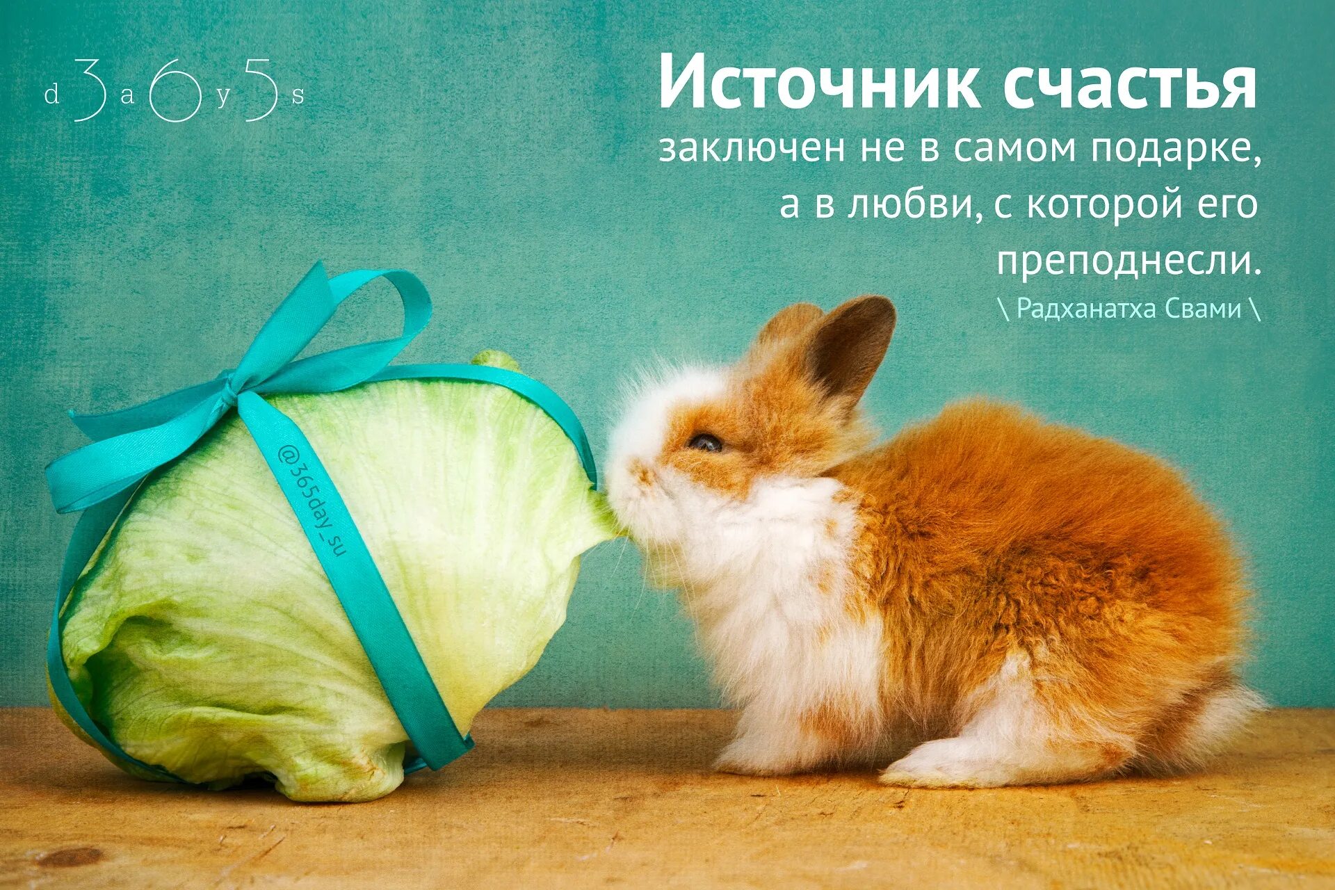 Цитаты про подарки. Открытка с днём рождения. Стихи о гармонии в душе. С днем рождения природа. С днём рождения удачи.