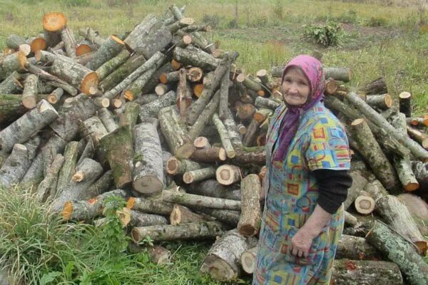 Купить дрова бабушке. Бабушка с дровами. Бабка с дровами. Бабка колет дрова. Старуха с дровами.