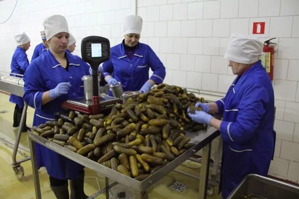 Армавир работа для без опыта