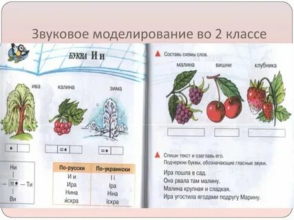 Состав слова малина