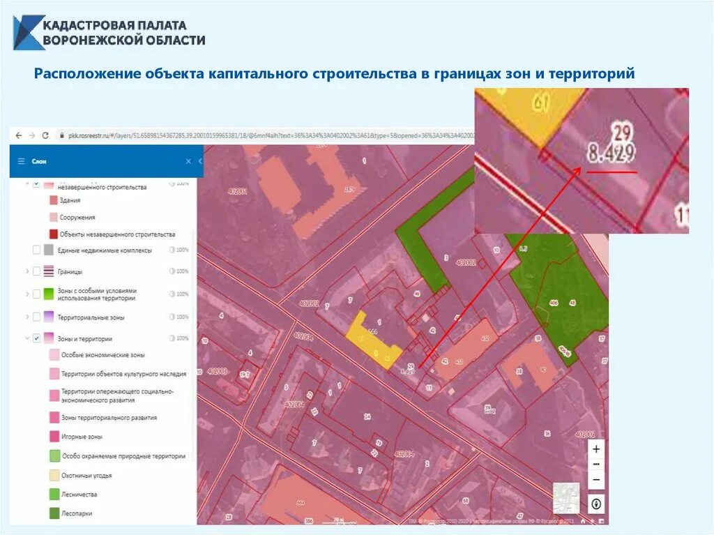 Кадастровая карта объекты капитального строительства. Капитальное строительство на кадастровой карте. Сервис публичная кадастровая карта. Кадастровая карта для презентации.