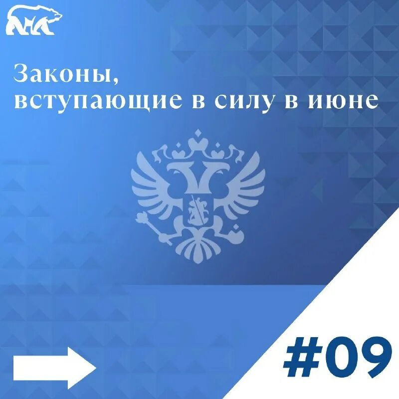 Департамент информирует. Как входит в силу закон. 115 фз картинки. Департамент информирует. Законы вступающие в силу в мае.