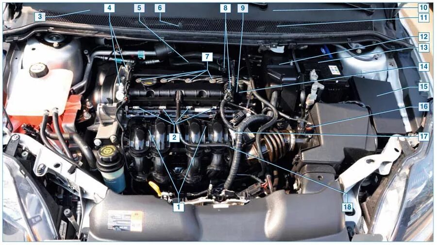 Почему форд фокус 2 1.8. Датчики двигателя Форд фокус 2 1.8. Двигатель Форд фокус 2 1.6 115 датчики. Датчики Форд фокус 2 двигатель 1.4. Двигатель Форд фокус 3 1.6 датчики.