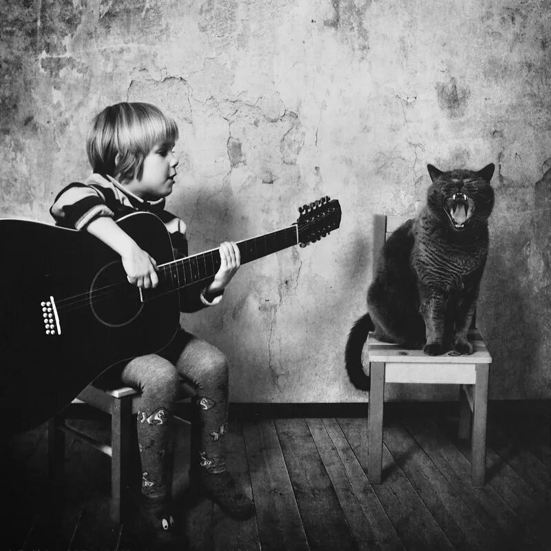 Девочка танцуй гитара. Andy prokh фотограф. животные с электрогитарой. девочка с котом. кот-музыкант.