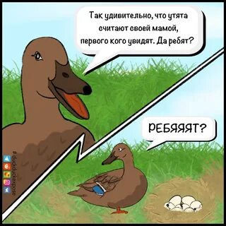 Синдром утенка