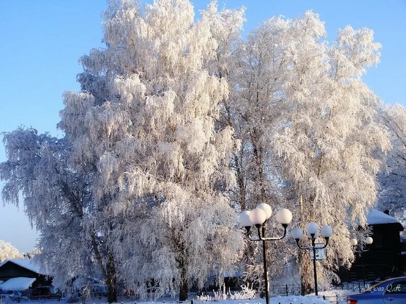 святые вечера и страшные вечера. у зимы есть имена. начало зимы на украине 2021. природа плесецкого района зима. здравствуй зима стихи.