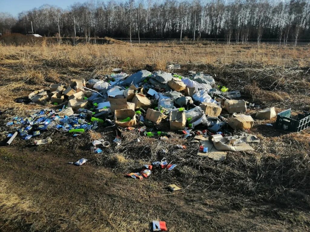 Убило мусоркой. Полигон ТБО «Гусинобродский». Полигон Новосибирск. Городская свалка Новосибирск. Новосибирск помойка.