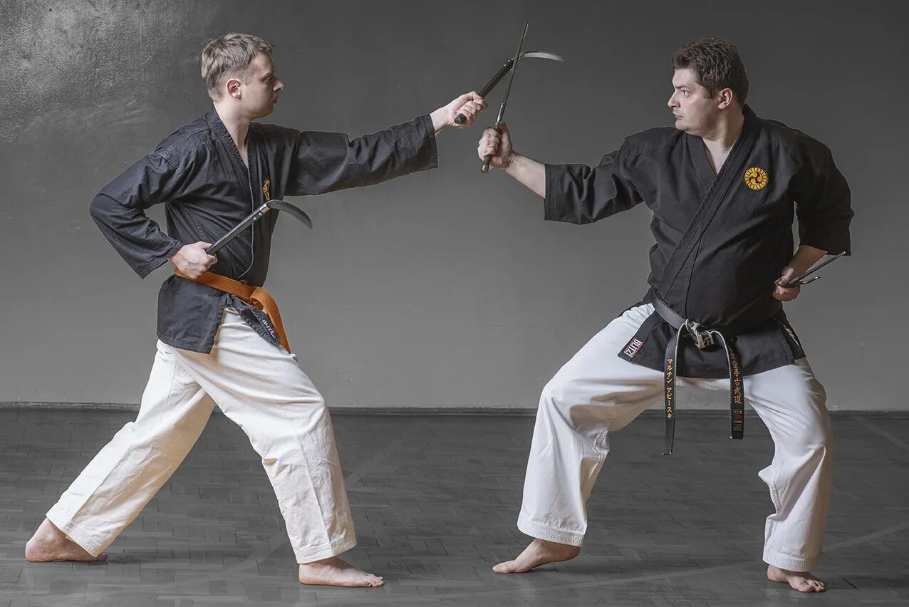 Кобудо катана. Тайцзицюань боевое искусство. Окинава кобудо. Оливия ченг кунг фу. Винь чунь.