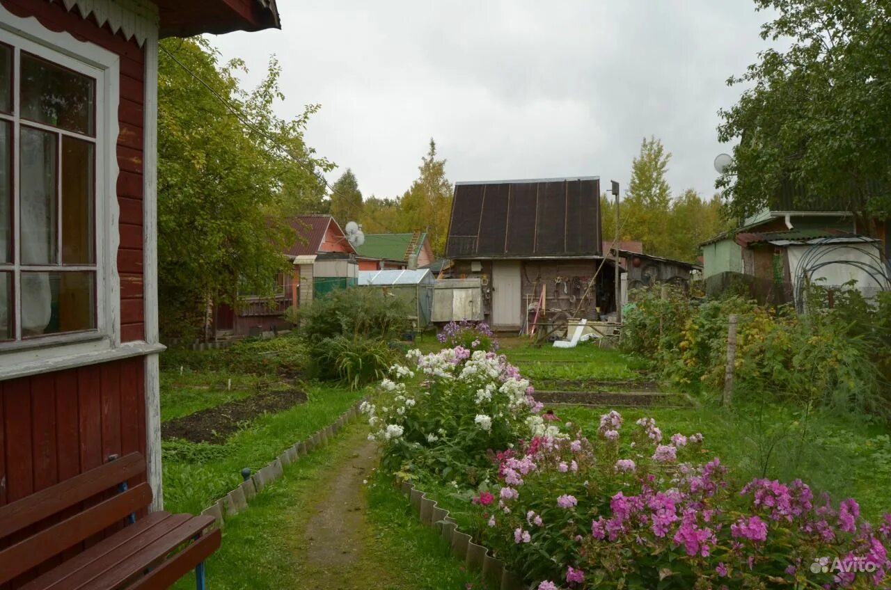 Массив садоводства. Садоводство пупышево ленинградская область. Снт балтиец грузино. Пупышево садоводство волховский. Пупышево (садоводческий массив).