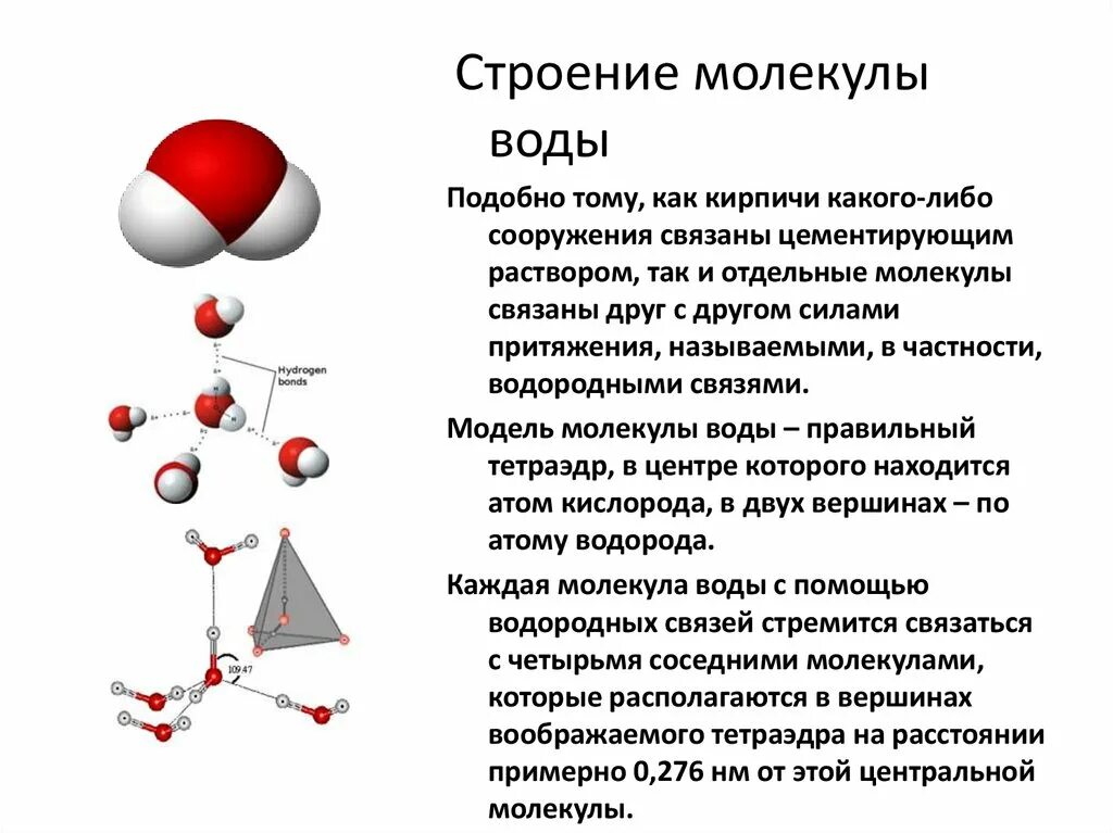 Внутреннее строение молекул воды. Строение молекулы воды химия 8 класс. Строение молекулы воды химия 9 класс. Строение молекулы воды схема. Пространственная структура молекулы воды.