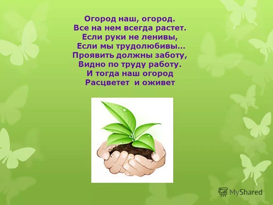 Посадили огород посмотрите что растет. Стихи про огород. Наш огород стихи. Стихи про огород на окне в детском саду. Огород на окне стихи для детей.