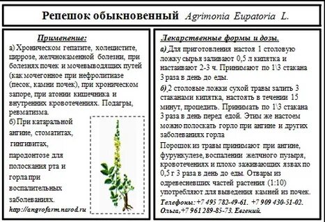 Репешок трава инструкция по применению