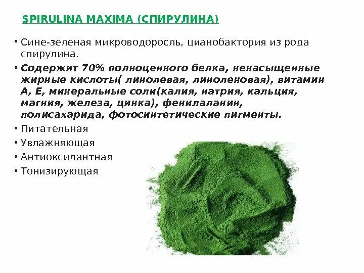 Спирулина польза и вред для организма. Микроводоросль спирулина. Спирулина характеристика водоросли. Сине зеленая спирулина. Спирулина Атоми.