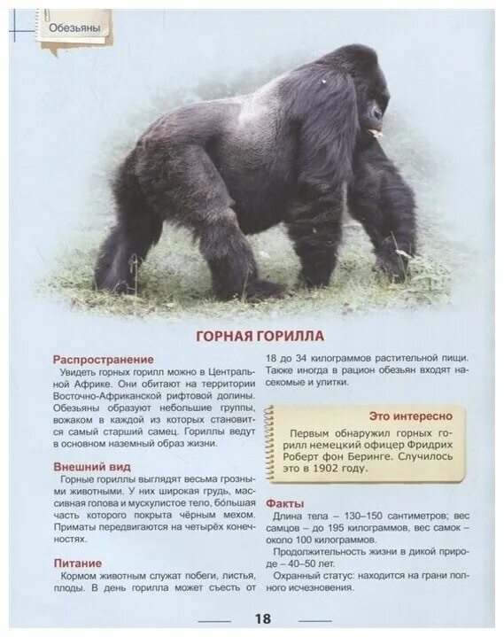 статья про обезьян из энциклопедии. статья про обезьян из энциклопедии. большая книга обезьяны. статья об обезьянах в энциклопедии 3. статья об обезьянах в энциклопедии 3.