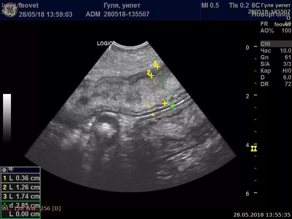 Отчет по ультразвуковой диагностике на категорию. Нагрузка врача узи на ставку. Отчет о профессиональной деятельности врача узи. Ультразвуковое исследование принцип работы. Отчет по узи на категорию врача.