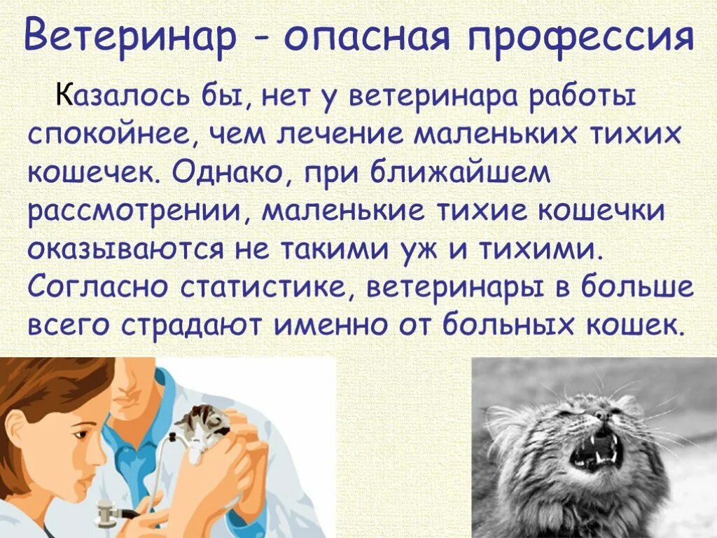 Рассказать о профессии ветеринар. Профессия ветеринар презентация. Рассказ о профессии ветеринар. Ветеринар доклад. Ветеринар впр