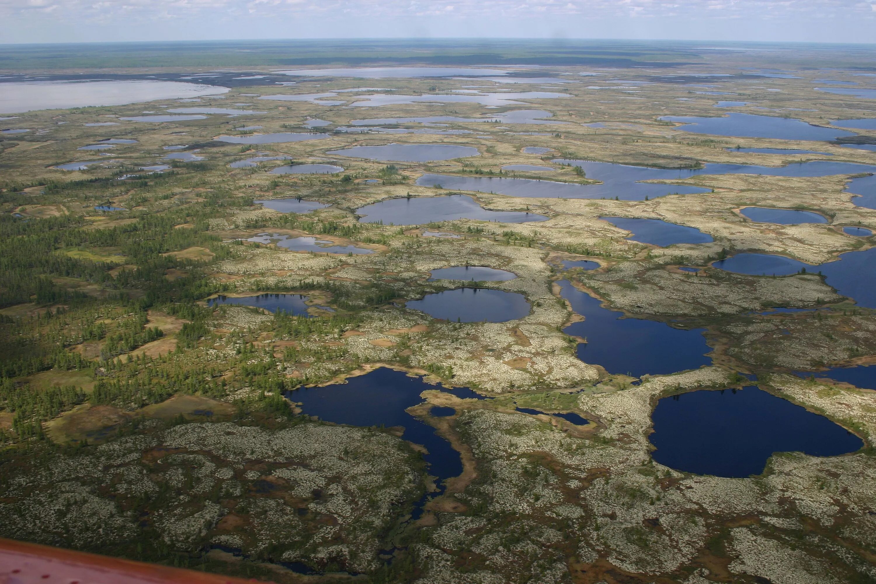многолетняя мерзлота в тундре. хатанга таймыр. термокарстовое озеро мерзлота. ямало-ненецкий автономный округ тундра. термокарстовые озера сибири.