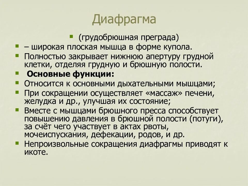 Какую функцию выполняет диафрагма. Функции диафрагмы. диафрагма грудобрюшная преграда. диафрагма мышца функции. грудобрюшная преграда функции.