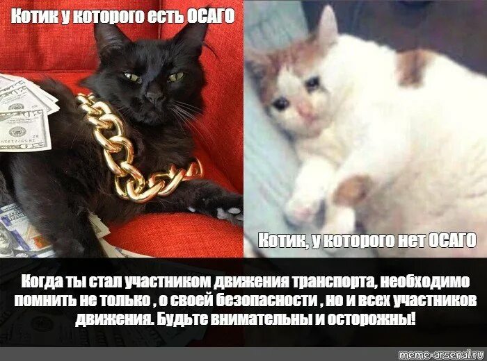 О вы из англии кот. Коты мемы. постановляю постановление мем кот. философские мемы с котиками. о вы из англии мем кот.