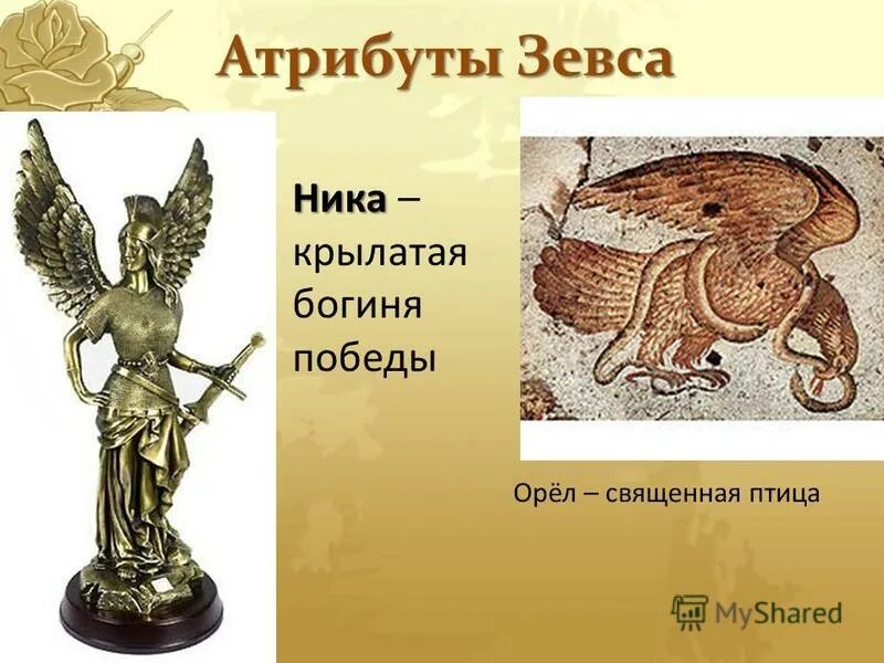Орел зевса. Зевс атрибуты бога. зевс и ника. символ зевса. атрибуты зевса орел.