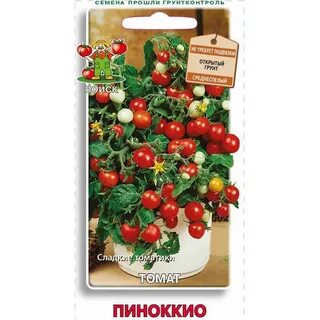 Найти семена помидор