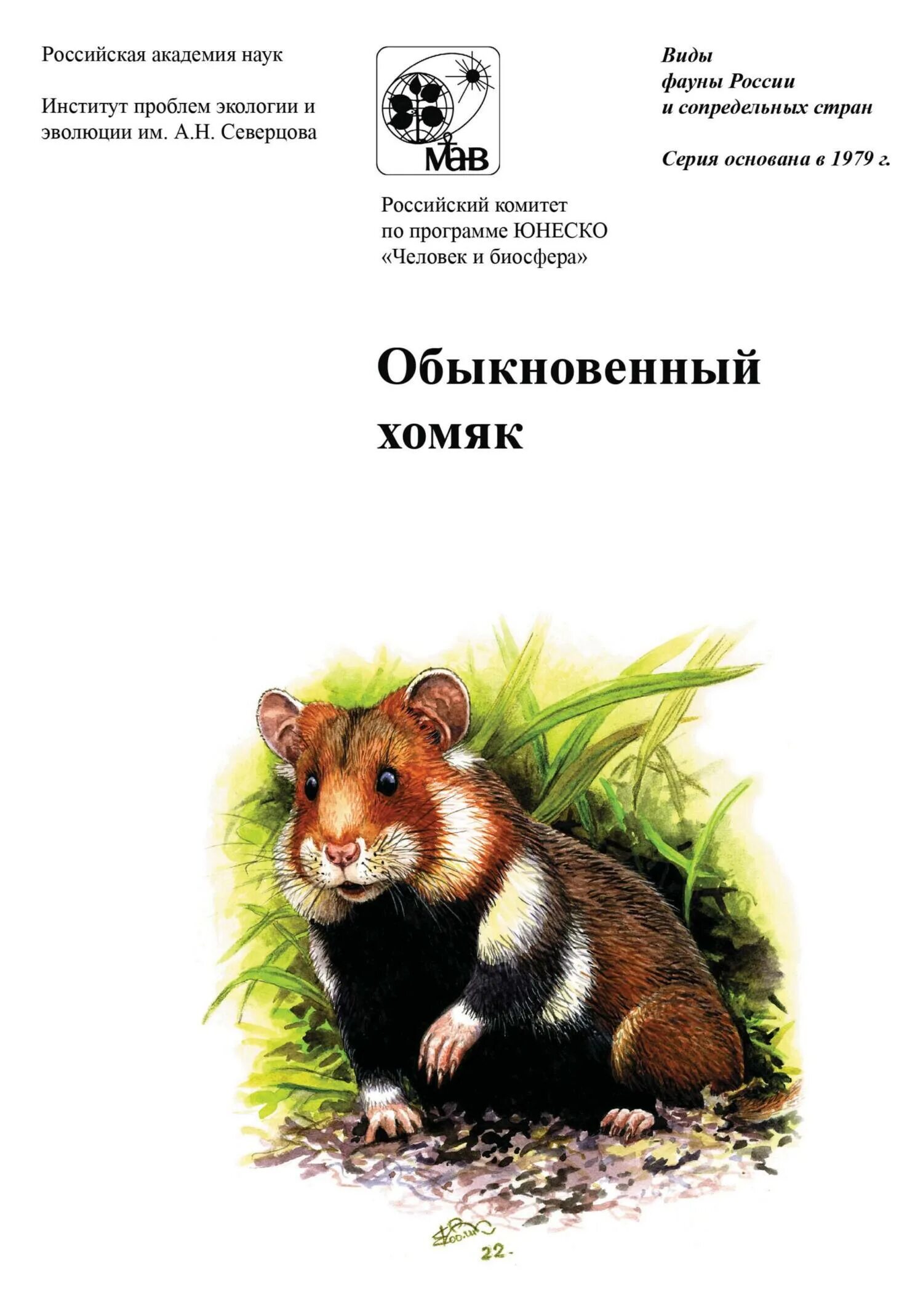 Описание хомяка. Хомяк обыкновенный описание. Хомяк обыкновенный описание. Хомяк краткое описание. Хомяк красная книга.