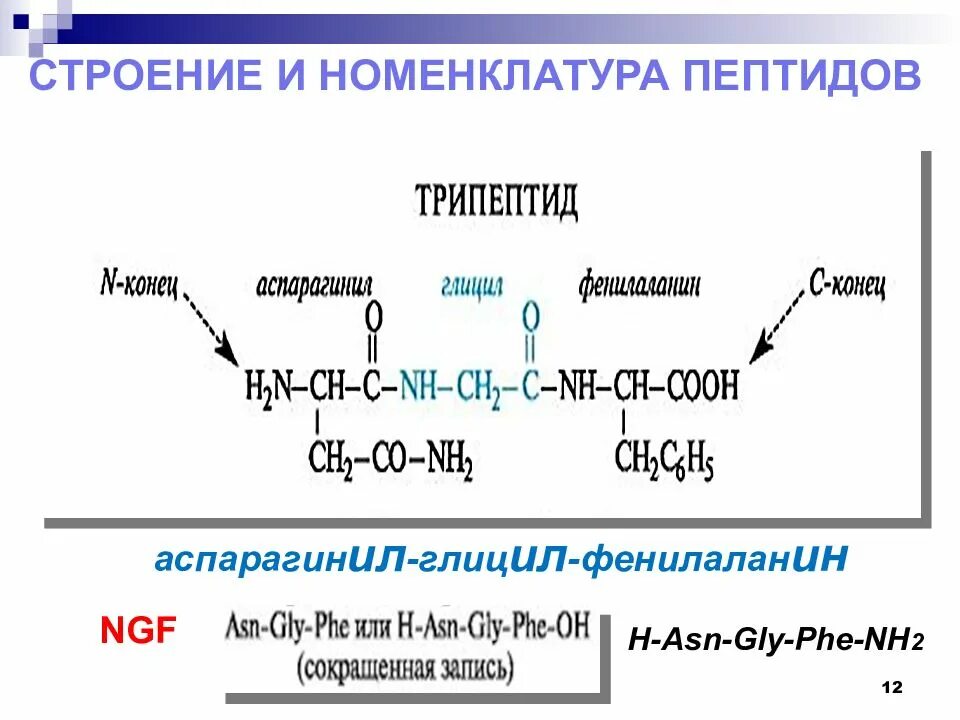 Трипептид из аминокислот пример. Пептиды. Структура, номенклатура. Трипептид из аминокислот строение. Пептиды строение номенклатура.