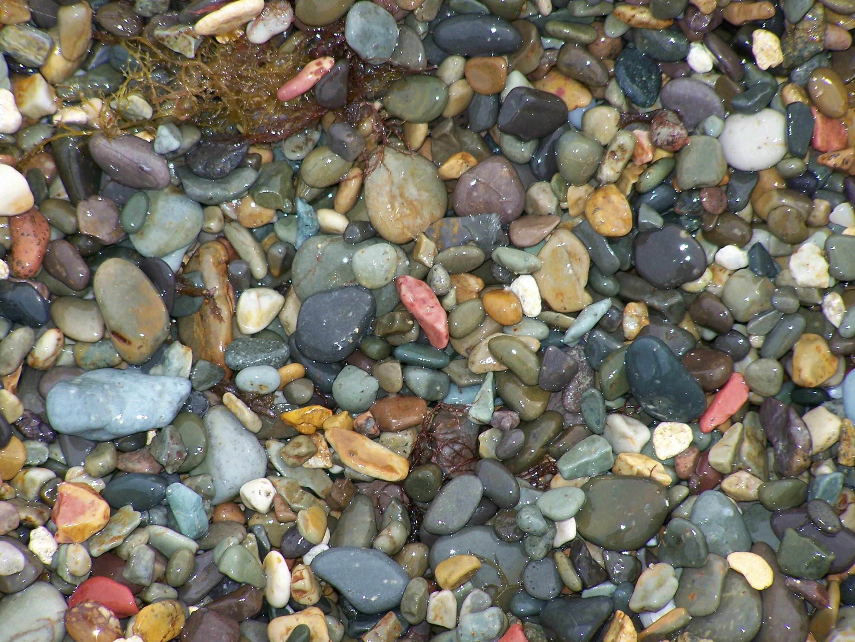 крымские камушки. халцедон карадага. яшма фиолент. агат халцедон. фиолент яшмовый пляж.